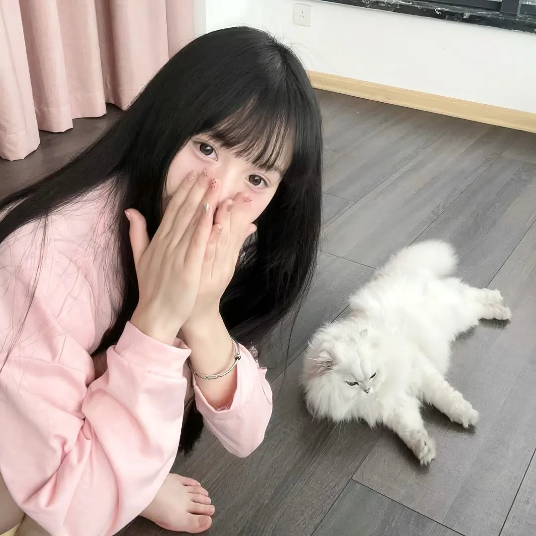 狸猫书生2